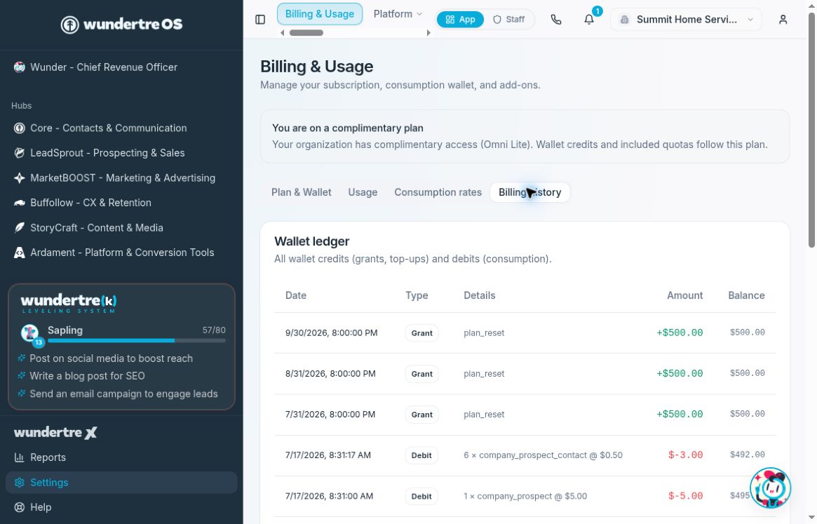 Wallet ledger entries show details, the credit or debit, and the resulting balance.