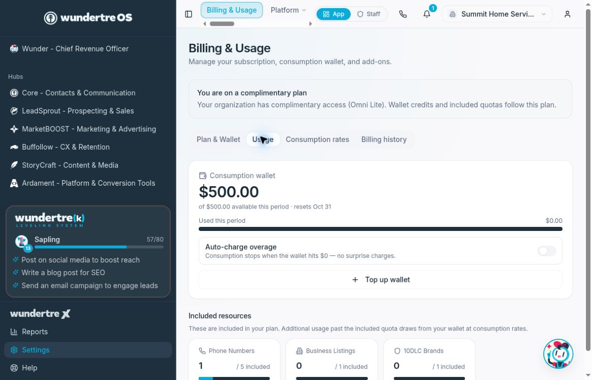 Usage separates the wallet balance from the amount used this period.